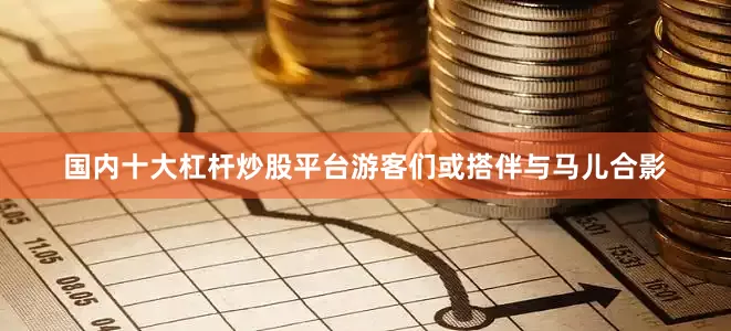 国内十大杠杆炒股平台游客们或搭伴与马儿合影