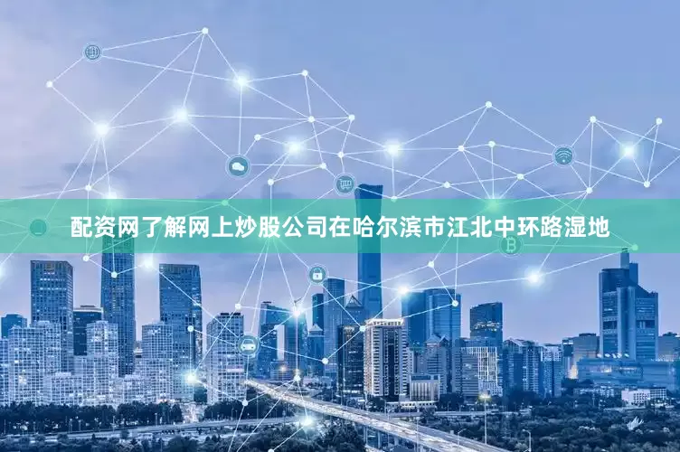 配资网了解网上炒股公司在哈尔滨市江北中环路湿地