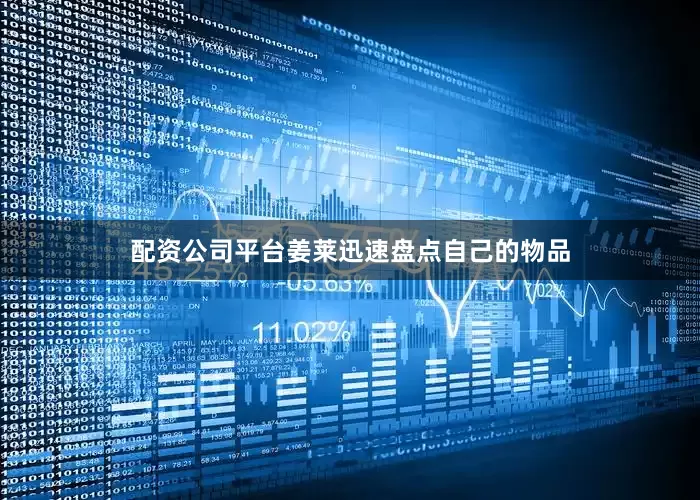 配资公司平台姜莱迅速盘点自己的物品