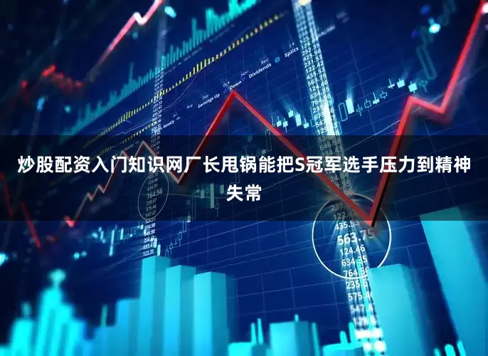 炒股配资入门知识网厂长甩锅能把S冠军选手压力到精神失常