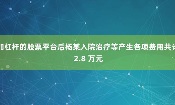 加杠杆的股票平台后杨某入院治疗等产生各项费用共计 2.8 万元