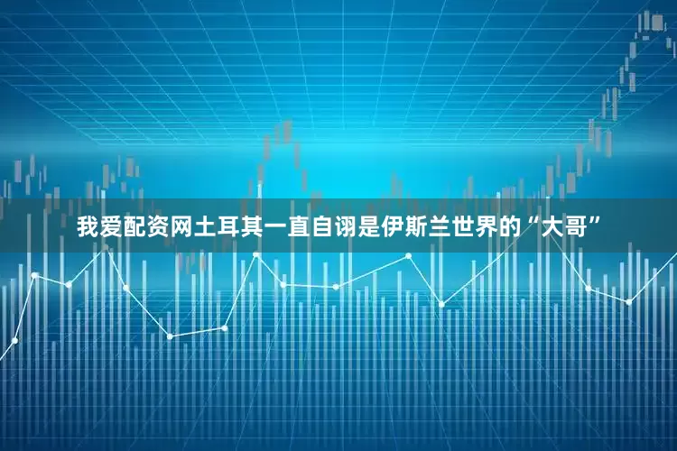 我爱配资网土耳其一直自诩是伊斯兰世界的“大哥”